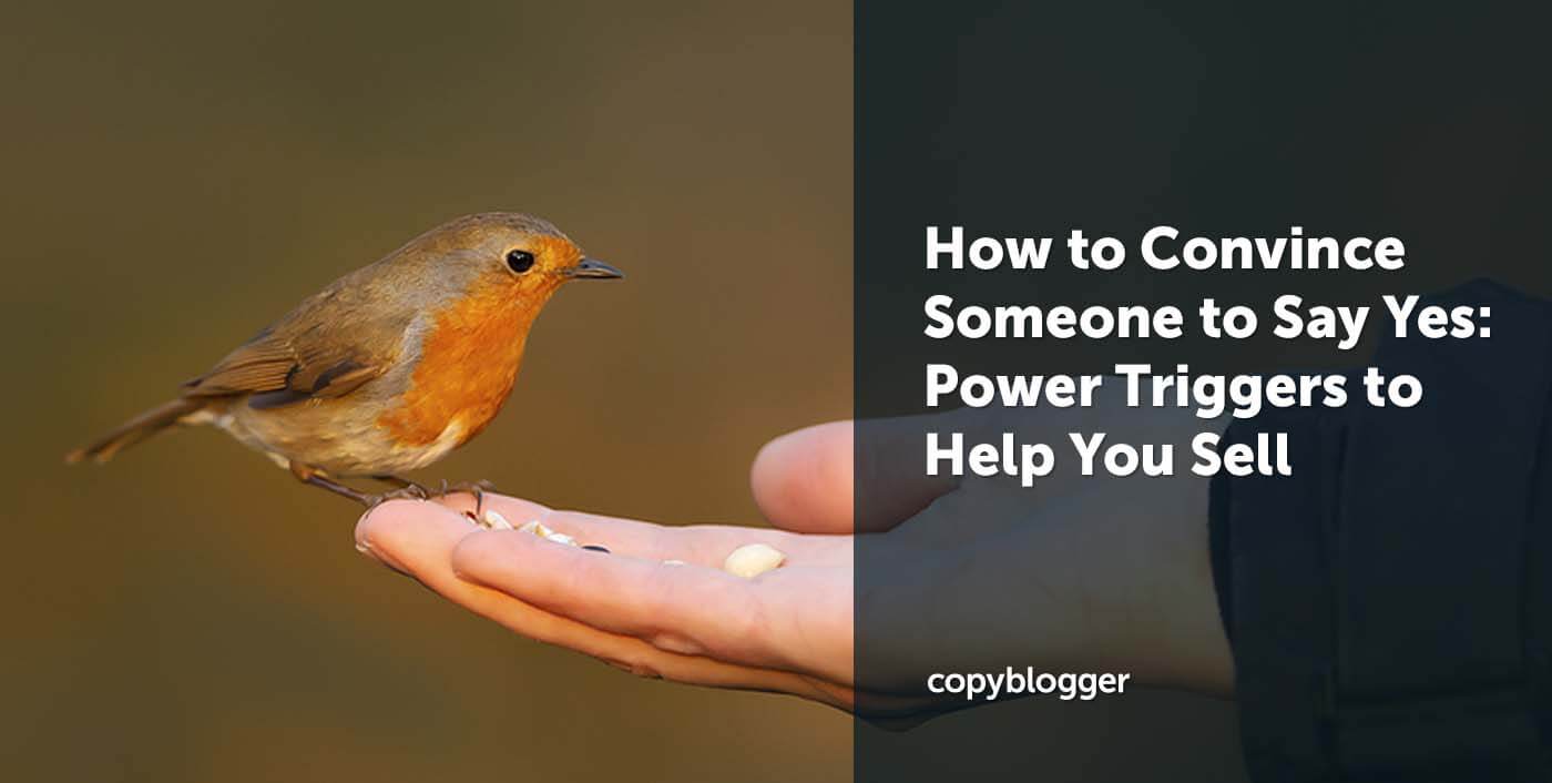 How to Convince Someone to Say Yes: 7 Power Triggers to Help You Sell